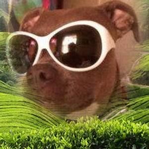 Meet your Posher, Shawna